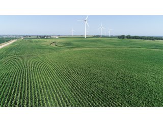 Bureau County, Illinois farmland - LAND AND WIND RIGHTS AUCTION - 337+/- ACRES IN 4 TRACTS IN BUREAU COUNTY, ILLINOIS
